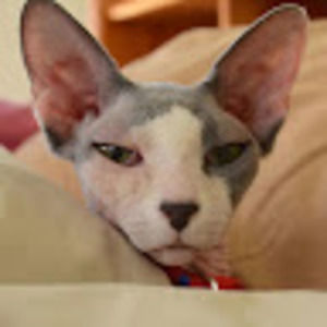 Meet your Posher, Miriam